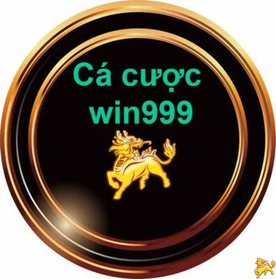 cá cược win999