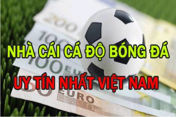 cá cược wordcup 2022 uy tín