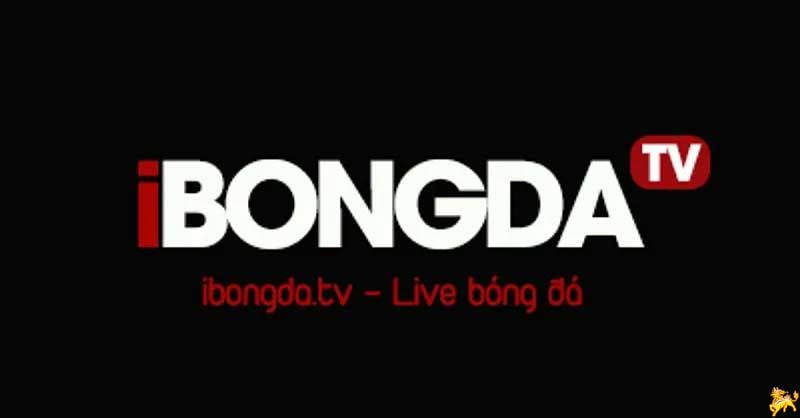 ibongda TV