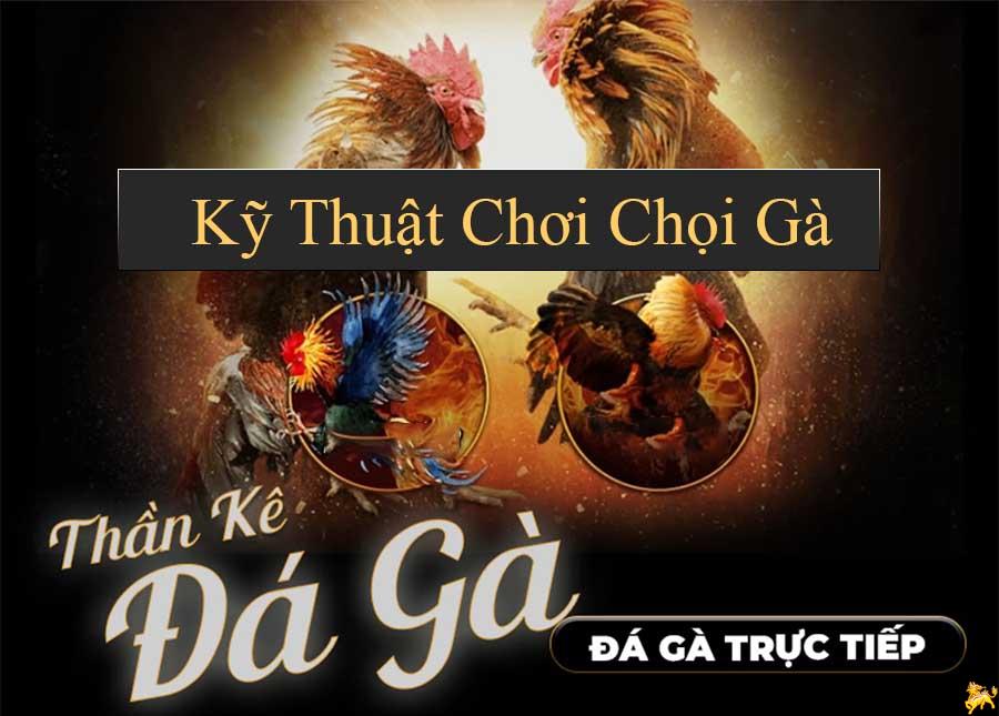 Kỹ thuật chơi đá gà