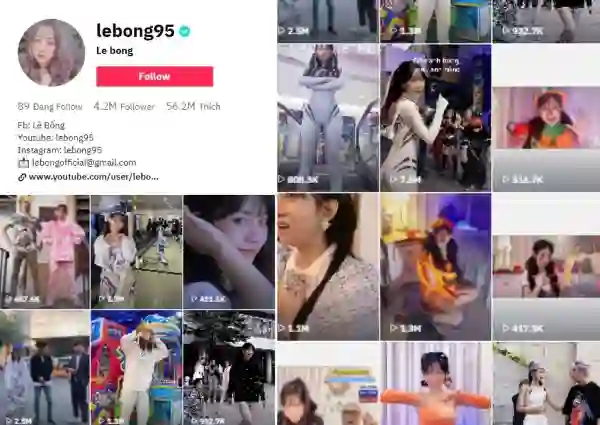  Trang Tiktok của Lê Bổng có lượng người theo dõi khủng và nhiều clip viral. (Nguồn: Tiktok NV)