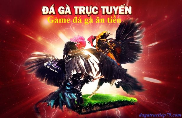 trò chơi đá gà ăn tiền