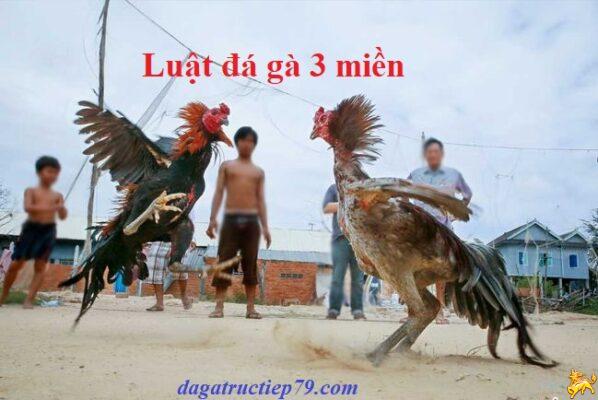 Luật chọi gà 3 miền