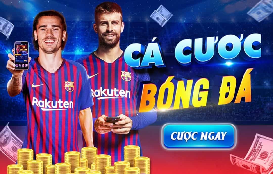 Khi nào thì nhà cái Fcb8 xuất hiện?