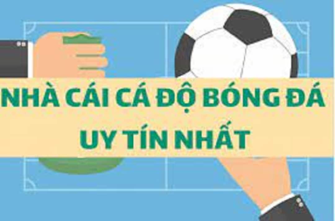 Chọn nhà cái uy tín để cá cược