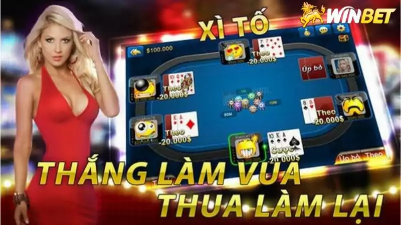 Kinh nghiệm cần biết khi chơi xì tố Winbet