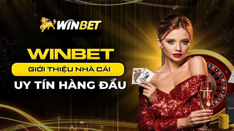 Nhà cái Winbet ở đâu và thông tin sơ lược